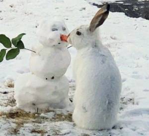 Раскраска заяц и снеговик #15 #312472