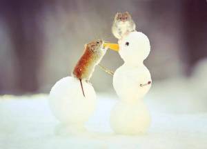 Раскраска заяц и снеговик #31 #312488