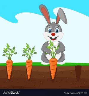 Раскраска заяц с морковкой для детей #11 #312764