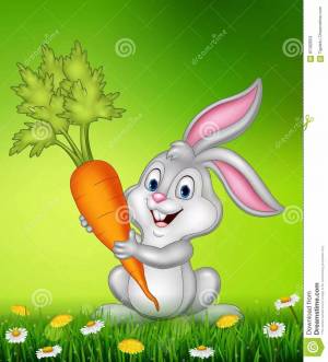 Раскраска заяц с морковкой для детей #18 #312771