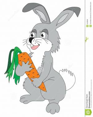 Раскраска заяц с морковкой для детей #22 #312775