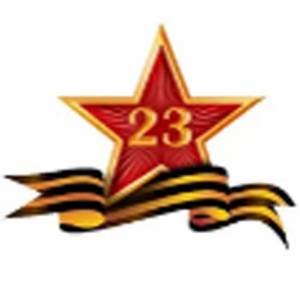 Раскраска звезда к 23 февраля #23 #313034