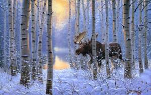 Раскраска звери в зимнем лесу #27 #313369