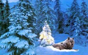 Раскраска звери в зимнем лесу #30 #313372