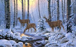 Раскраска звери зимой в лесу #18 #313552