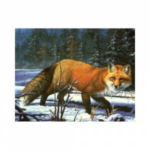 Раскраска звери зимой в лесу #31 #313565