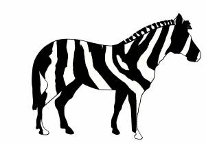 Раскраска зебра без полосок для детей #7 #314325