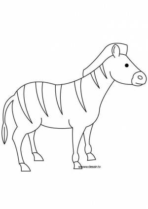 Раскраска зебра без полосок для детей #18 #314336