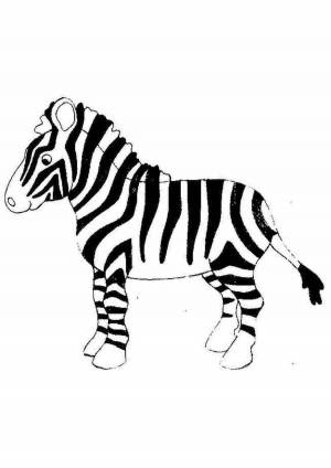 Раскраска зебра без полосок для детей #20 #314338