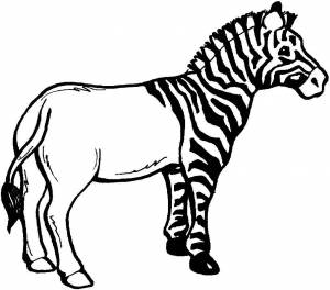 Раскраска зебра без полосок для детей #21 #314339
