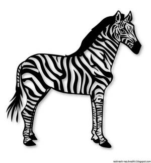 Раскраска зебра без полосок для детей #24 #314342