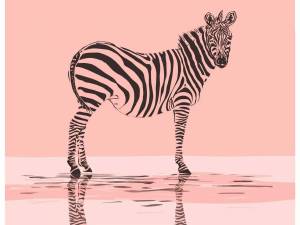 Раскраска зебра в клеточку #5 #314358