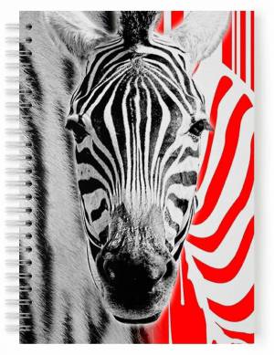 Раскраска зебра в клеточку #10 #314363