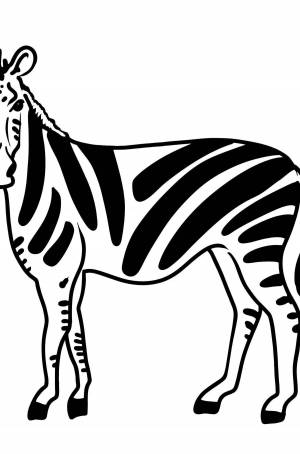 Раскраска зебра для детей 3 4 лет #15 #314400