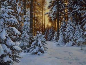 Раскраска зима в лесу для детей #3 #315118