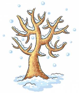 Раскраска зимнее дерево для детей #14 #315531