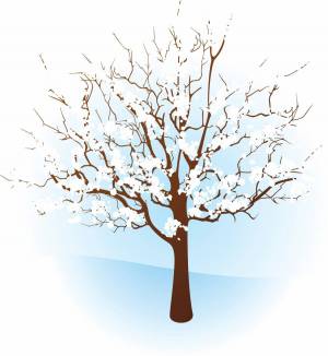 Раскраска зимнее дерево для детей #15 #315532