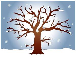 Раскраска зимнее дерево для детей #20 #315537