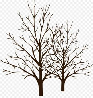 Раскраска зимнее дерево для детей #21 #315538