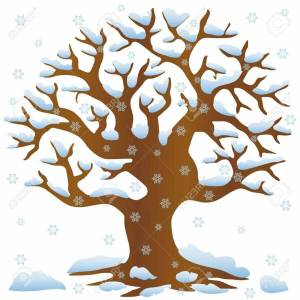 Раскраска зимнее дерево для детей #23 #315540