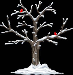 Раскраска зимнее дерево для детей 3 4 лет #4 #315558