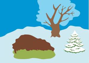 Раскраска зимнее дерево для детей 3 4 лет #19 #315573