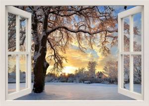 Раскраска зимнее окно #34 #315625