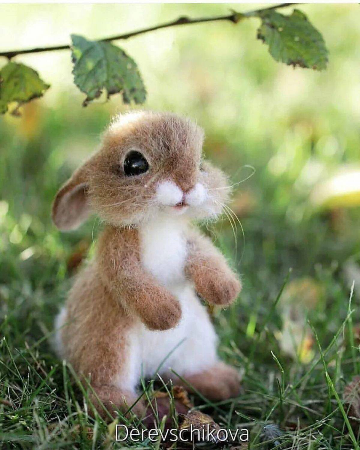 Маленькие картинки. Милые зайчики. Самые милые животные. Милый заяц. Милые зверята.