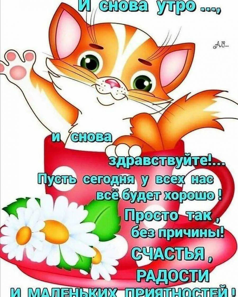 Картинки и снова утро и снова здравствуйте