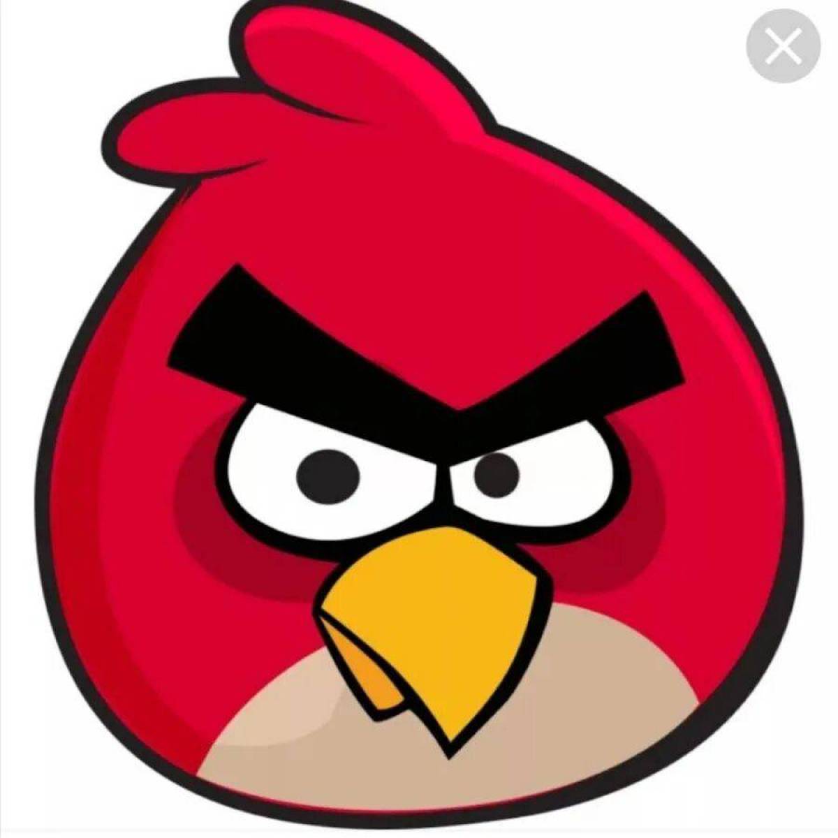 Бесплатный энгриберц. Angry Birds злые птички. Энгри бердз красная птица. Ангрибёрдс злые птенчики. Энгри бердз красная птица злая.