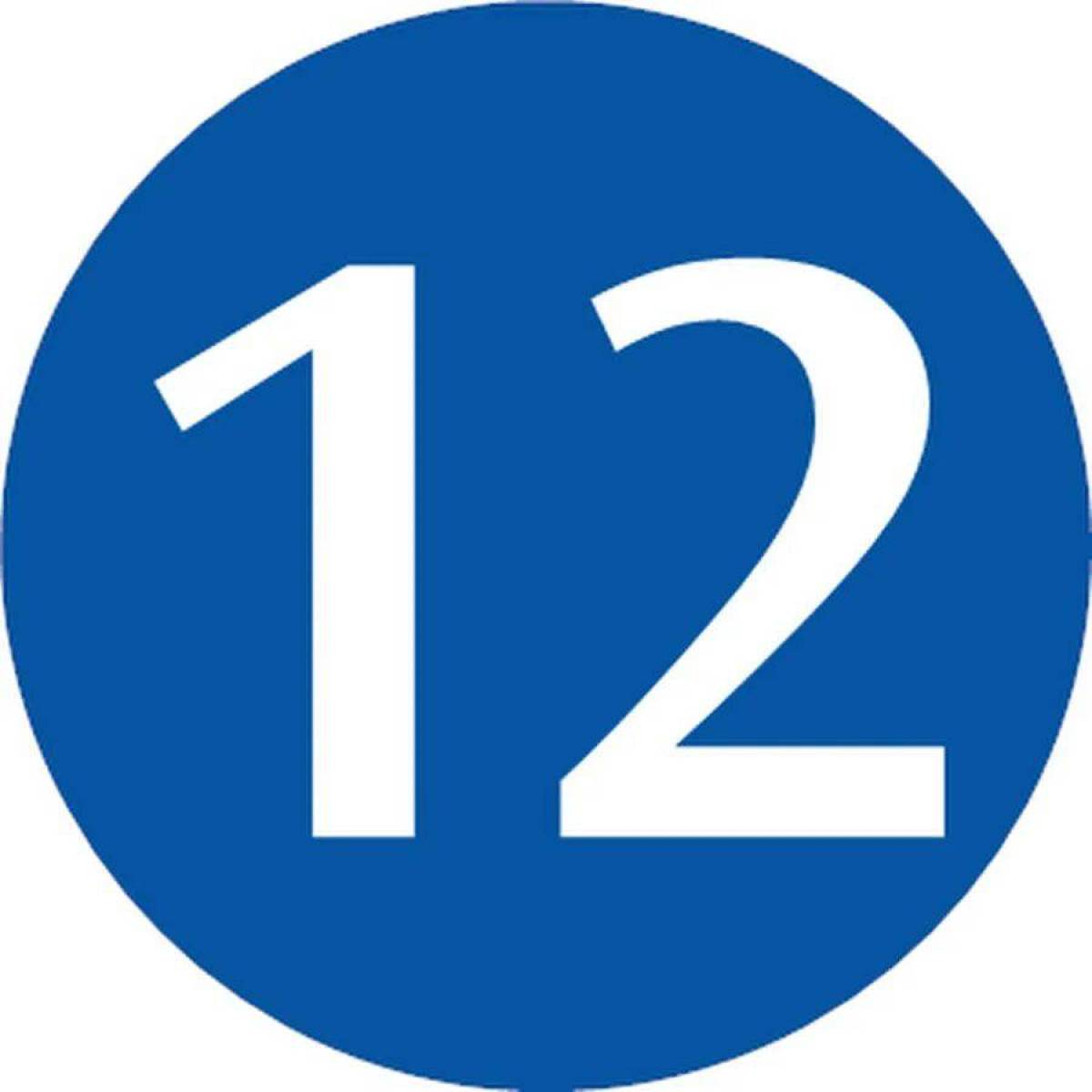 12 #6