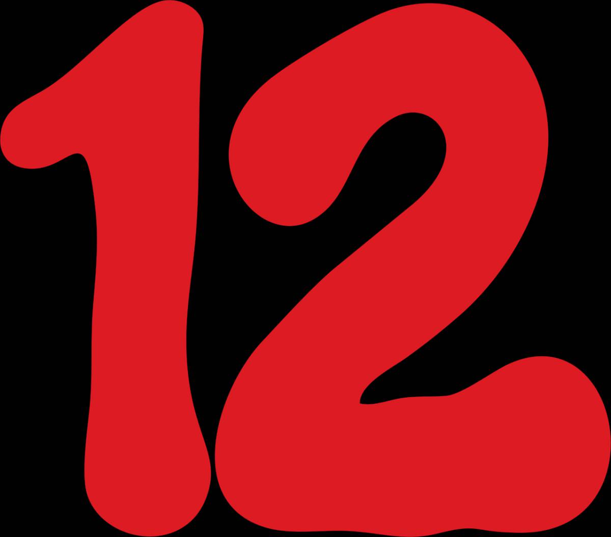 12 #10