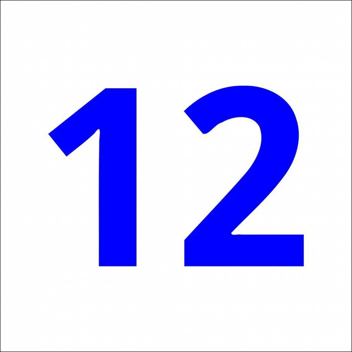 12 #13