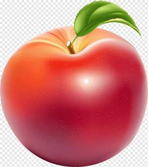 Раскраска яблоко для детей #18 #28317