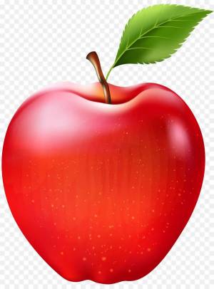 Раскраска яблоко для детей #26 #28325