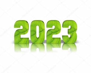 Раскраска 2023 #16 #29355