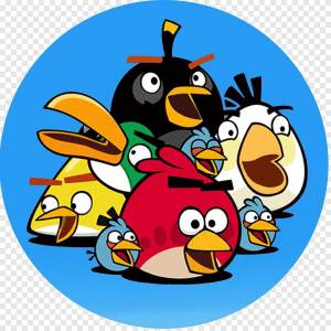 Раскраска angry birds #24 #30698