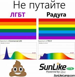 Раскраска hey color на русском #13 #31477