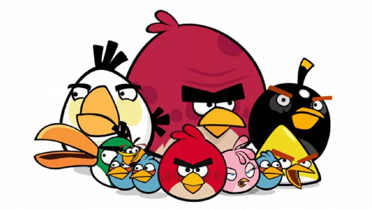 Angry birds #3