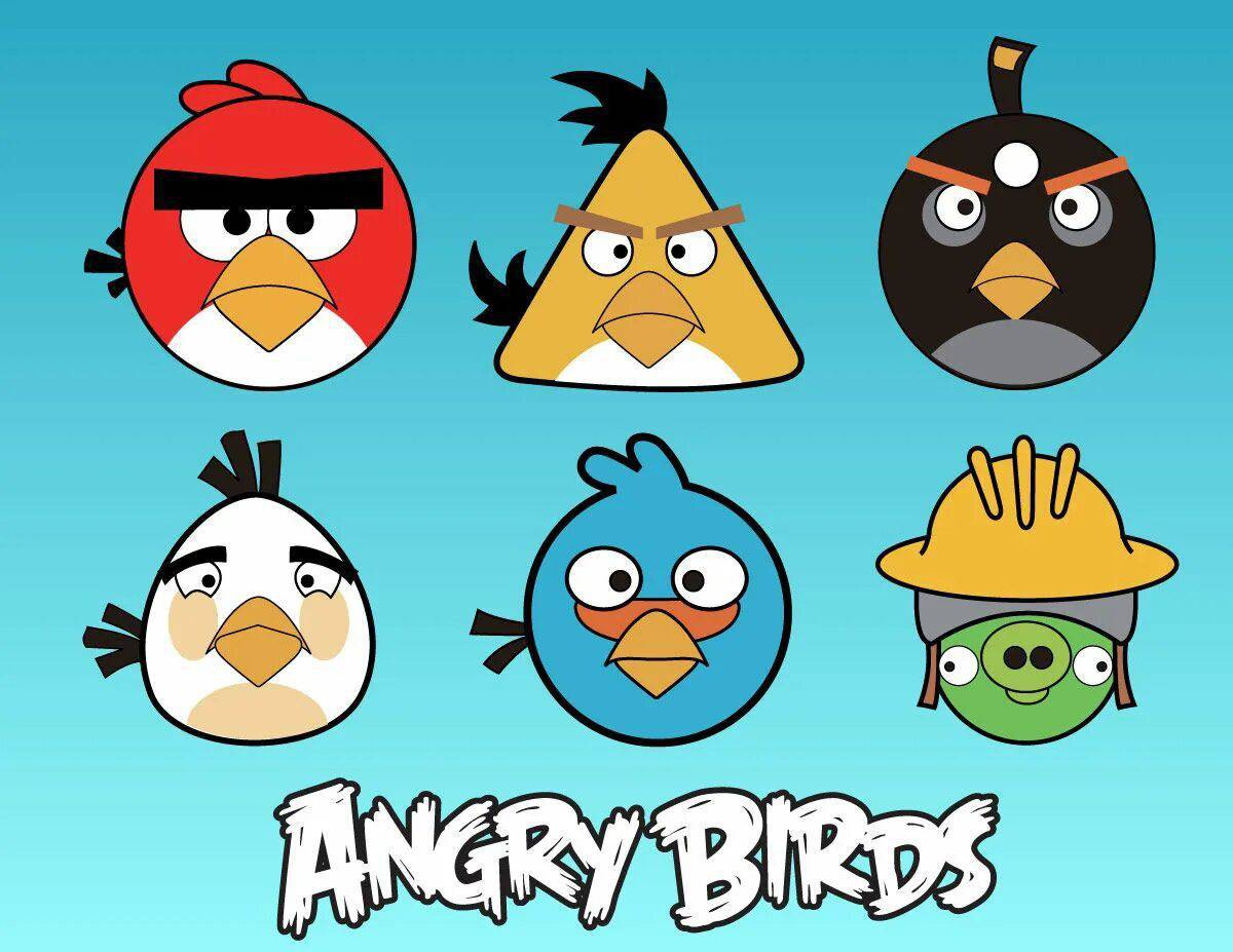 Angry birds #16