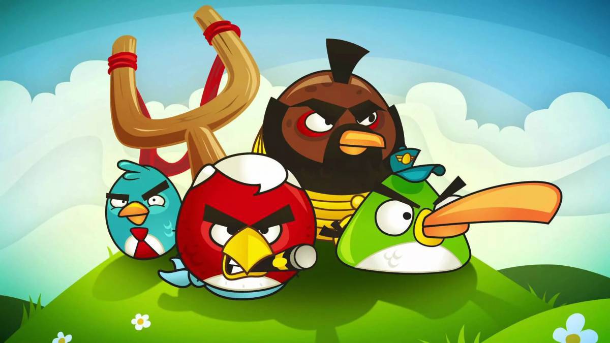 Angry birds #26