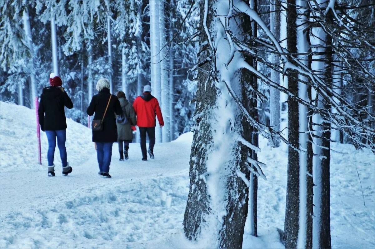 Прогулка в зимнем лесу