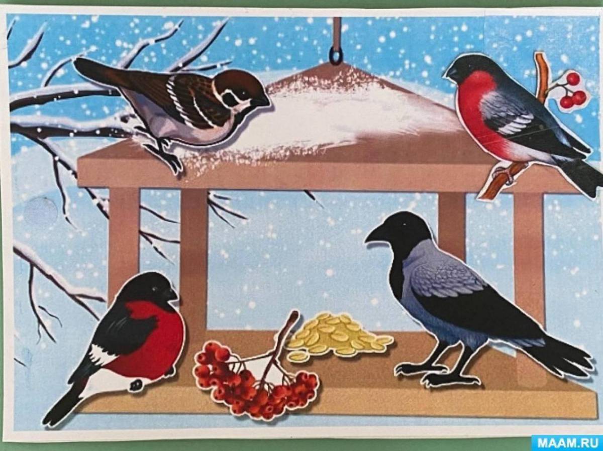 Зимующие птицы. Иллюстрации зимующих птиц. Зимующие птицы на кормушке. Иллюстраций зимующих птиц средняя группа. Фцкм птицы средняя группа