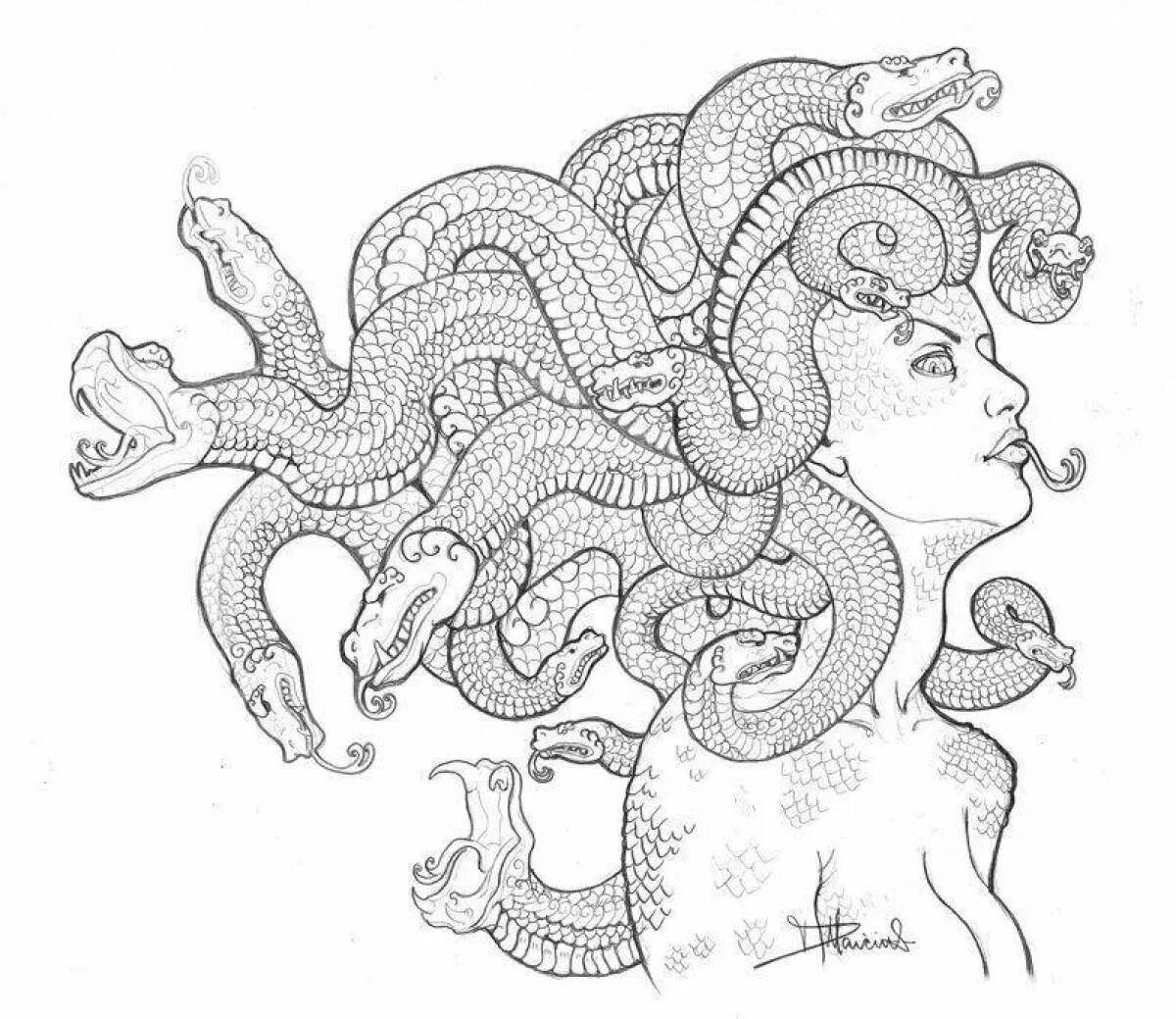 Medusa Snake Pubes