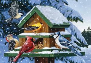 Раскраска зимние птицы для детей #1 #316575