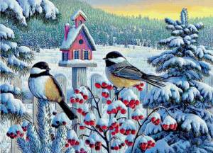 Раскраска зимние птицы для детей #8 #316582