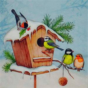 Раскраска зимние птицы для детей #9 #316583