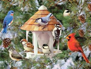 Раскраска зимние птицы для детей #10 #316584