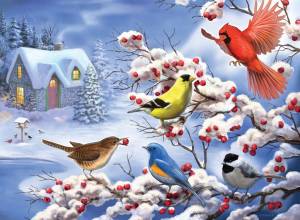 Раскраска зимние птицы для детей #34 #316608