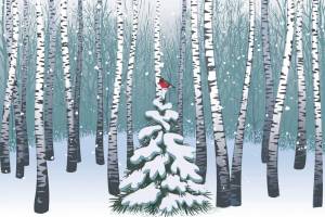 Раскраска зимний лес для детей 5 6 лет #25 #316961